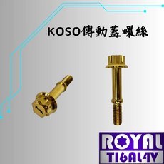 ROYAL KOSO 傳動蓋螺絲 鈦合金 雪花頭造型 土豪金, 1個