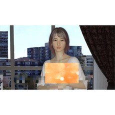 合租公寓 Roommates Ver1.3 PC 安卓中文版