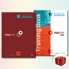 천일문 핵심 + 핵심 문제집 세트 전2권 쎄듀
