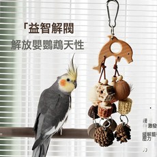 鸚鵡松果藤球啃咬玩具 籠內掛件式磨牙解悶用品, 1個, 鸚鵡玩具-五角星:如圖
