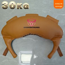 런지 피티 크로스핏 모래 안백 30kg 레슬링 맨몸운동 헬스 주머니