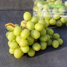 [과일꾼] 수입 포도 오톰크리스피 애플 청포도 아삭한 식감이 일품, 01.오톰크리스피 1kg (1팩)