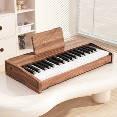 미니 피아노 토이피아노 토이 건반 미니피아노 악기제작소, 1개, C. 37키 월넛 컬러 목조 피아노 컬러박스 무료 악보