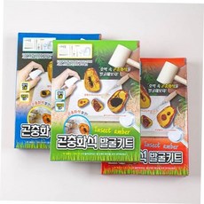곤충장난감 곤충화석발굴키트, 본상품