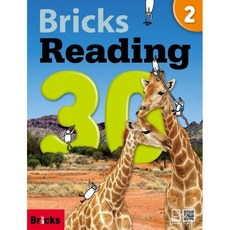 Reading 30, 2, Bricks