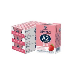 연세우유 세브란스 전용목장 A2 단백우유 딸기, 125ml