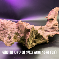 맹그로브 유목 (대), 1개