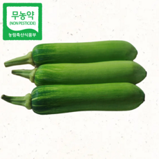 무농약 친환경 애호박 국내산 인큐애호박 1kg 신선채소 산지직송 요리용, 3개, 300g 내외