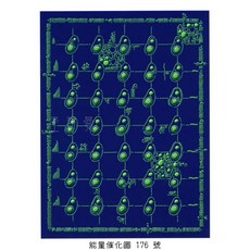 Bryan De Flores能量圖A176號-時間旅行母體 阿卡西記錄通道與技術 DIY繪畫套組, 1個