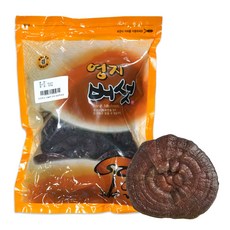 동광종합물산 국내산 찐 영지버섯, 500g, 1개