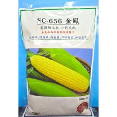 SC-656 金鳳 超甜玉米種子 耐皸病 媒紋病 高產量 口味甜美 外型秀麗, 1包