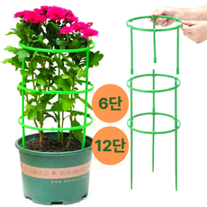 디원더 식물 지지대 꽃받침 원형 조립형 모음, 12개