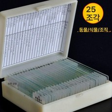 프레파라트 48종 표본 실험도구 식물 현미경 체험, 25장 유리 표본, 기본 색상