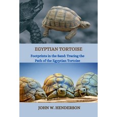 (영문도서) Egyptian Tortoise: Footprints in the Sand: Tracing the Path of the Egyptian Tortoise Paperback, Independently Published, English, 9798879874679