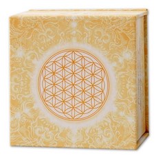 歐林創造金錢卡 - 潛意識正面信念【左西】