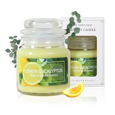 향기뿜뿜 향초 소이캔들 유리병 90g 레몬 유칼립투스you1+9kbt