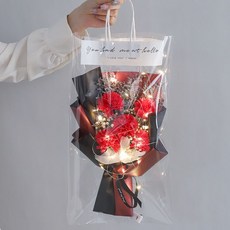 乾燥花花束 感恩節聖誕節生日禮物 女朋友閨蜜老師母親節禮物, 超大紅康乃馨+燈串+禮袋