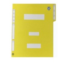 [팩][서일산업] 정부화일 친환경 A4 로얄아이보리지(10개입)(색상선택), 청색, 10개입