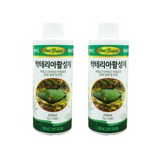 원터치 박테리아 활성제, 250ml, 2개