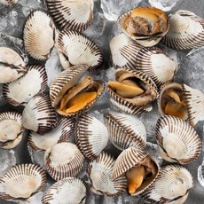 [남도의 맛]보성 벌교여자만 새꼬막 2kg (특품) 산지직송, 1개, 2000