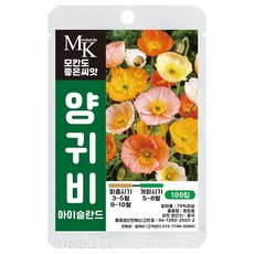모칸도 좋은씨앗 양귀비 아이슬란드 씨앗 혼합종 100립 꽃씨 꽃씨앗, 1개