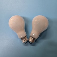 백열전구 110V 30W 불투명 전구색 E26, 2개