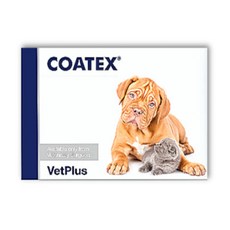 강아지 고양이 독 캣 코텍스 블리스터 60캡슐 피부 피모, 60정, 피부/피모, 2개