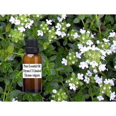 沉香醇百里香 白百里香 純精油 - Thyme ct linalool Pure Essential Oil, 1個, 500ml