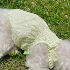 Dedang甜美荷葉邊夏季狗狗連身裙, 薄荷