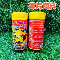 帥哥水族 海豐 T048 孔雀魚/燈科魚薄片飼料 適用所有小型魚 上浮性飼料, 1個