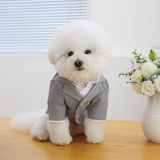 강아지 노블 프렌치 정장 턱시도, 1개, 그레이