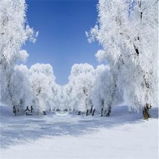 스튜디오배경지 유튜브 설산 링조명 배경 배경지 배경천, 1.5x2m, 1개, 애프리콧