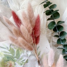 兔尾草乾燥花材 薔薇之吻色系 捧花手腕花插花素材, 薔薇之吻,一份10枝
