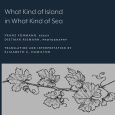 (영문도서) What Kind of Island in What Kind of Sea? Paperback, Lever Press, English, 9781643150277