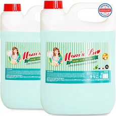 맘스럽 주방세제 4LX2개 대용량 저자극 라임향 과일야채세척 프리미엄 세제, 4L, 2개