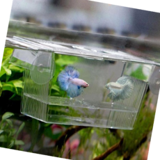 부화기 미니 구피 부화통 치어 열대어 격리통 어항 수족관