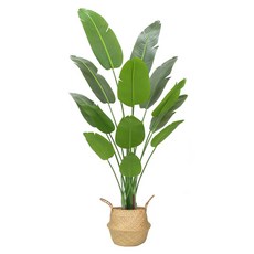 아르띠콜로 플랜테리어 극락조 조화 나무 +해초바구니세트, 210cm, 1개, 그린