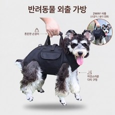 융풍 반려동물 이동가방 강아지 고양이 백팩 휴대용 외출가방 통기성 어깨끈 손잡이 겸용, 블랙, 1개