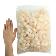 [대국맛짱] 구이찜용 [알가리비살 가리비관자] 60-80 가리비 [일요일/당일발송], 1개, 1.8kg