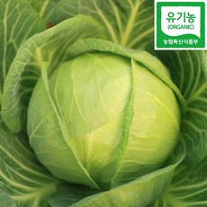 국내산 유기농 양배추 친환경 무농약양배추, 1개, 5kg