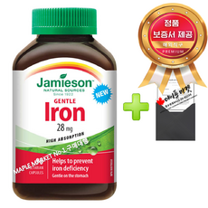 자미에슨 젠틀 아이언 철분 엽산 멀티비타민 90캡슐+정품보증서 캐나다 직배송, 1개, 90정