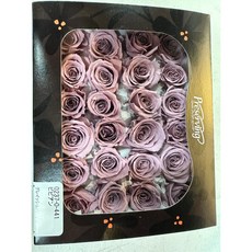 花藝夢 日本大地農園不凋永生玫瑰花 02370/02378 24輪單色乾燥花 (單朵計價), 441(NEW), 441(NEW)