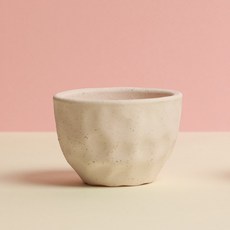 투구 별선인장 키우기쉬운 아프리카식물 아스트로피툼, 1개, 투구+화분(바닐라)+전용 흙