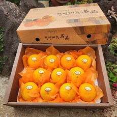 [산지직송] 고당도 제주 만감류 3종 한라봉 천혜향 레드향 가정용, 한라봉 가정용 중대 3kg (7-15)