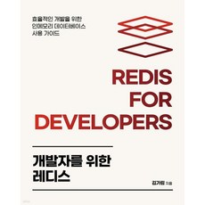 개발자를 위한 레디스