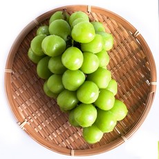선물세트 당도보장 프리미엄 샤인머스켓 2kg 4kg 특품 선물세트, 1개, 샤인머스켓 1kg