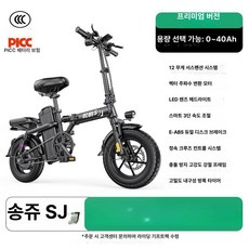 전기 자전거 알톤 엑스트론 접이식 분리형배터리 팻바이크, 1개, 1cm, 12단 3단속도 48V 15Ah 45KM 2년