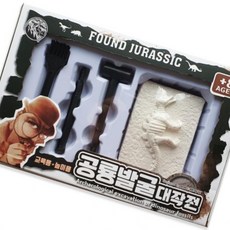 발굴키트 공룡발굴 대작전, 1개