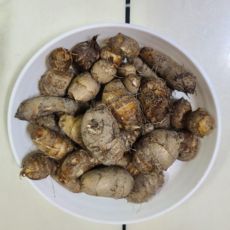 왕토란종근 10개 왕토란 타로 토란종자 토함산자연농원, 소자(10개), 10g