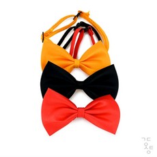 랄잇 미니 나비넥타이 생일파티